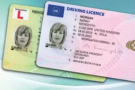 Your Driver's Licence and Brexit